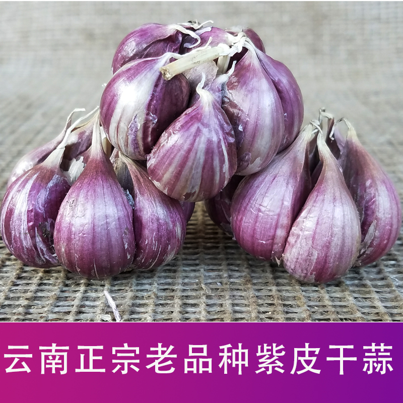 正宗云南紫皮老品种红皮大蒜香辣