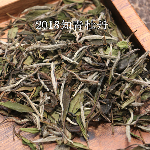 春醉 福鼎白茶2018年知青老茶园白牡丹正宗核心产区春茶茶叶