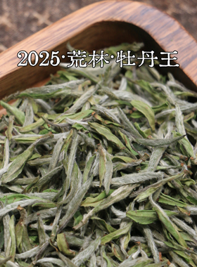 福鼎白茶【荒林】2025年荒野牡丹王正宗磻溪明前老枞白牡丹茶叶