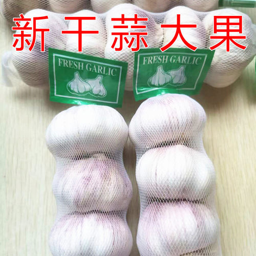 今年晒干大蒜头干大蒜