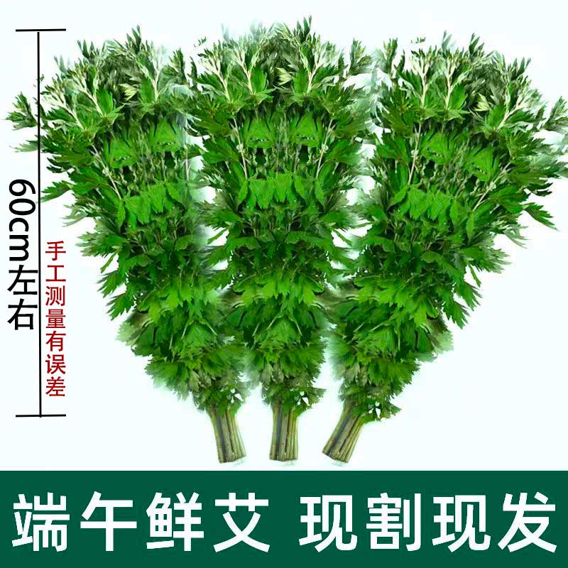 新鲜野生整颗艾草艾叶草端午挂门艾灸/艾草/艾条/艾