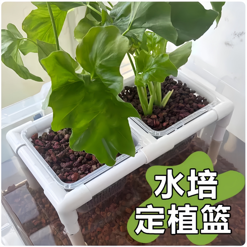 乌龟生态缸专用水培定植篮支架 防龟啃绿植固定架 龟箱造景配件图片