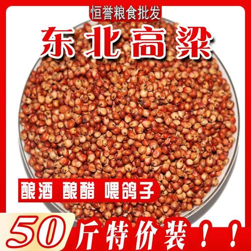 鸽粮酿酒东北高粱便宜
