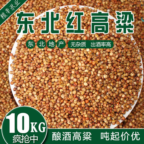 东北无杂质带皮红高粱去壳未脱皮红高梁喂鸽子饲料10kg20斤包邮