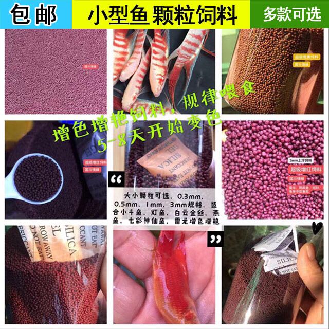 小型观赏鱼斗鱼增红增艳饲料普叉白兔白化蓝火白化红火效果明显