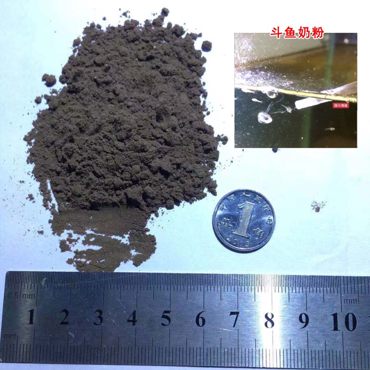 斗鱼奶粉鱼苗饲料粉渔场专用粉状饲料粒浮水缓沉饲料鱼苗开口饲料