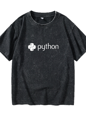 计算机程序员python编程T恤短袖