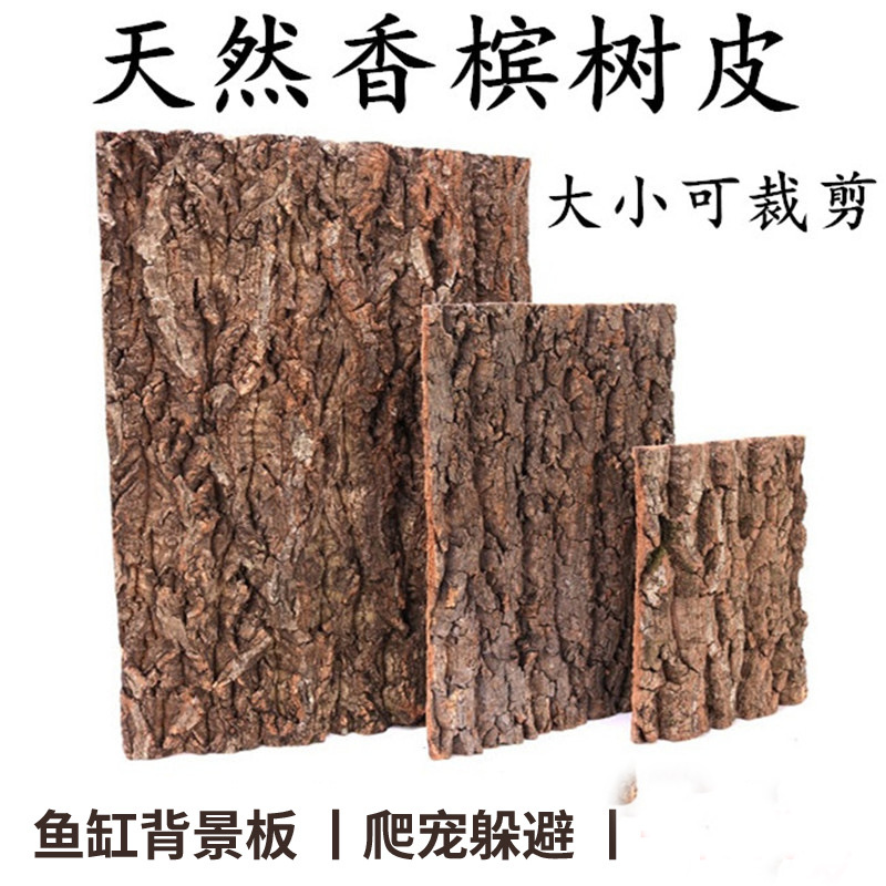 香槟真树皮装饰软木蜘蛛守宫蜥蜴躲避宠物造景背景板爬宠攀爬