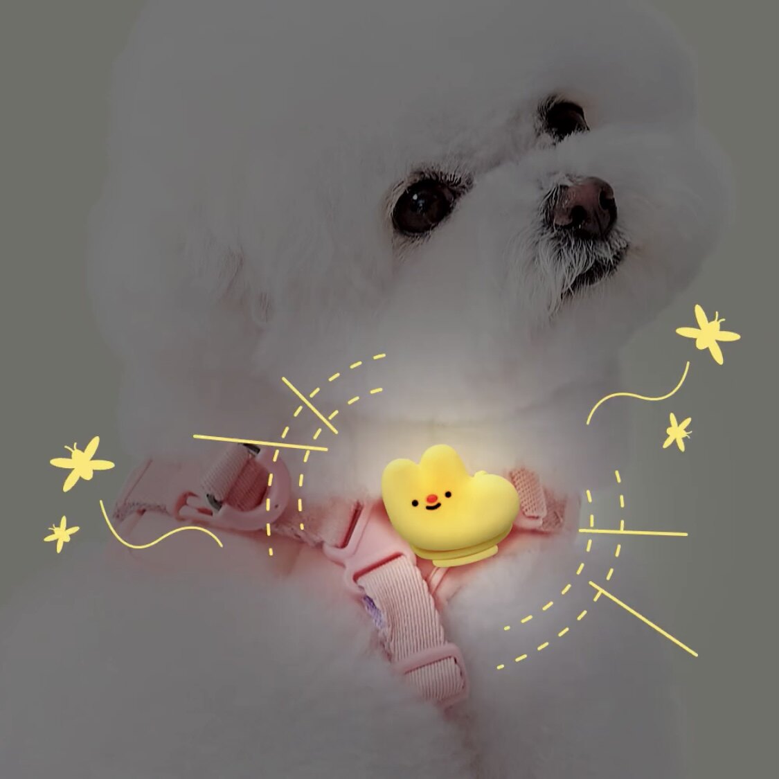 现货mollypets* 韩国代购 宠物外出LED防蚊驱虫 社交可爱遛狗灯