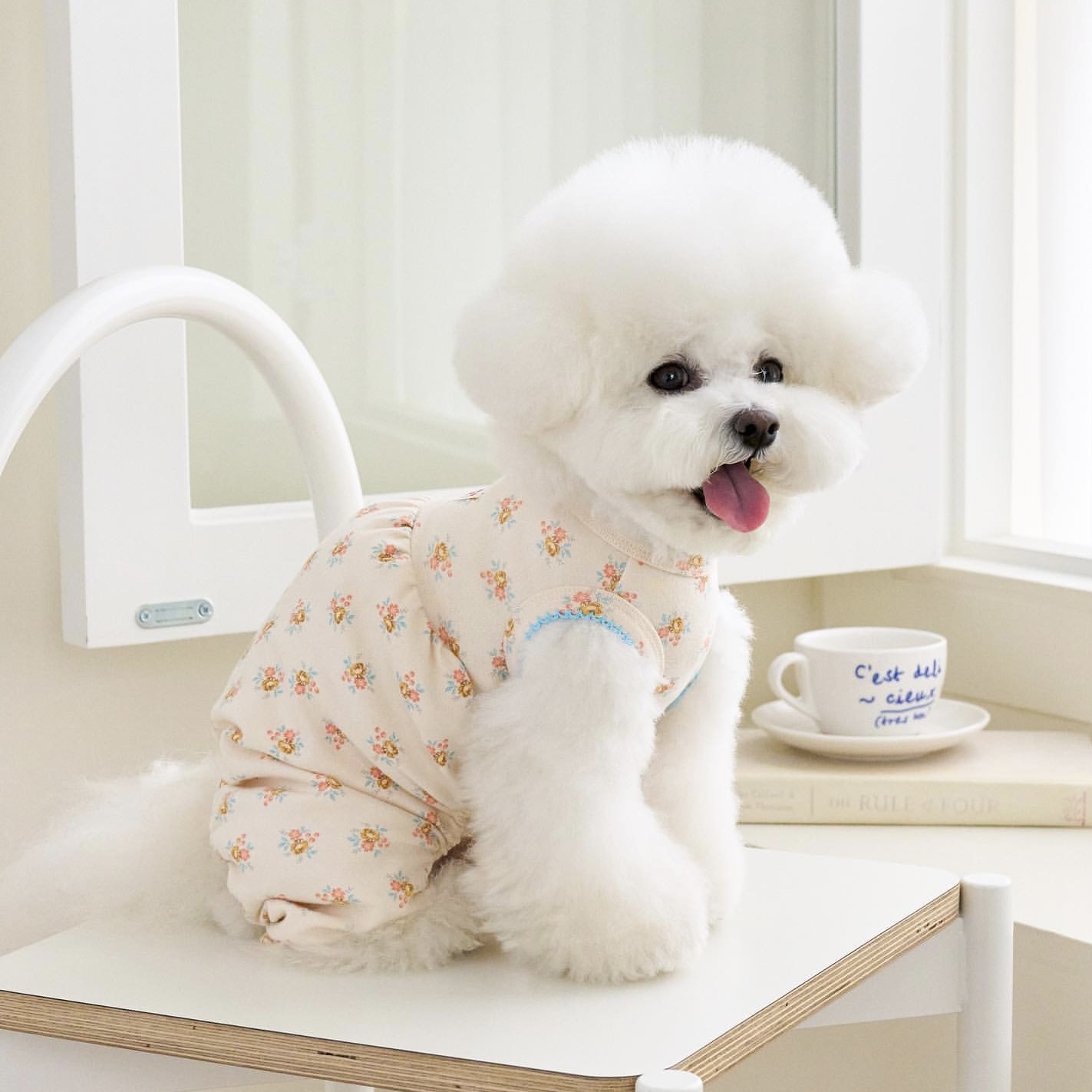 韩国noutti小碎花狗狗四脚连体衣