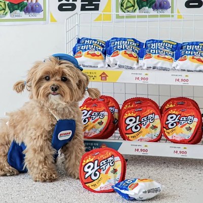 韩国代购网红拉面狗狗藏食玩具