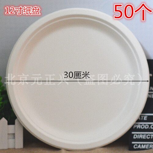 一次性纸盘子幼儿园手工DIY绘画画盘子蛋糕餐盘纸碟子大纸盘12寸 - 封面