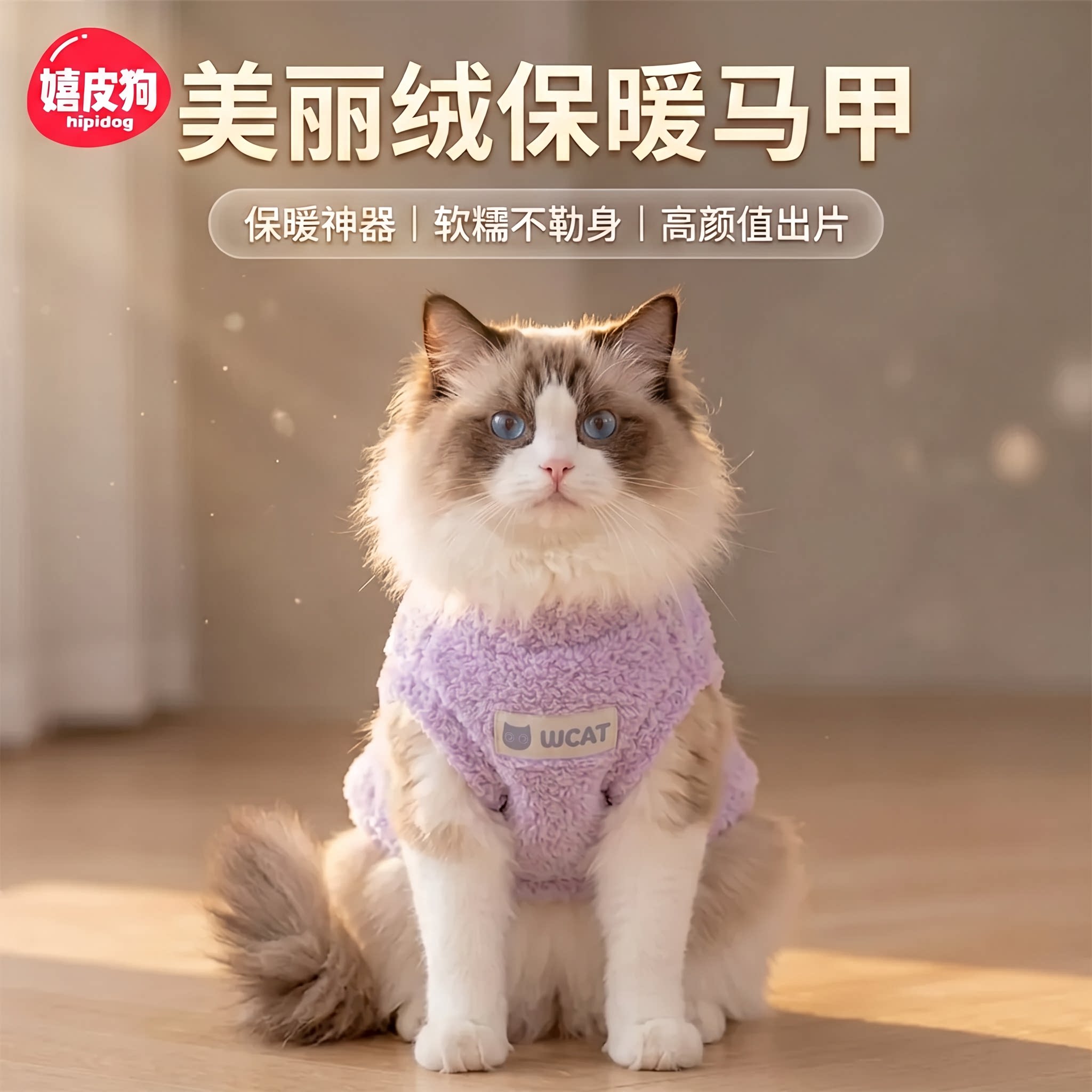 猫咪衣服秋冬款加厚香芋紫马甲布偶英短幼猫保暖背心打底衫防掉毛