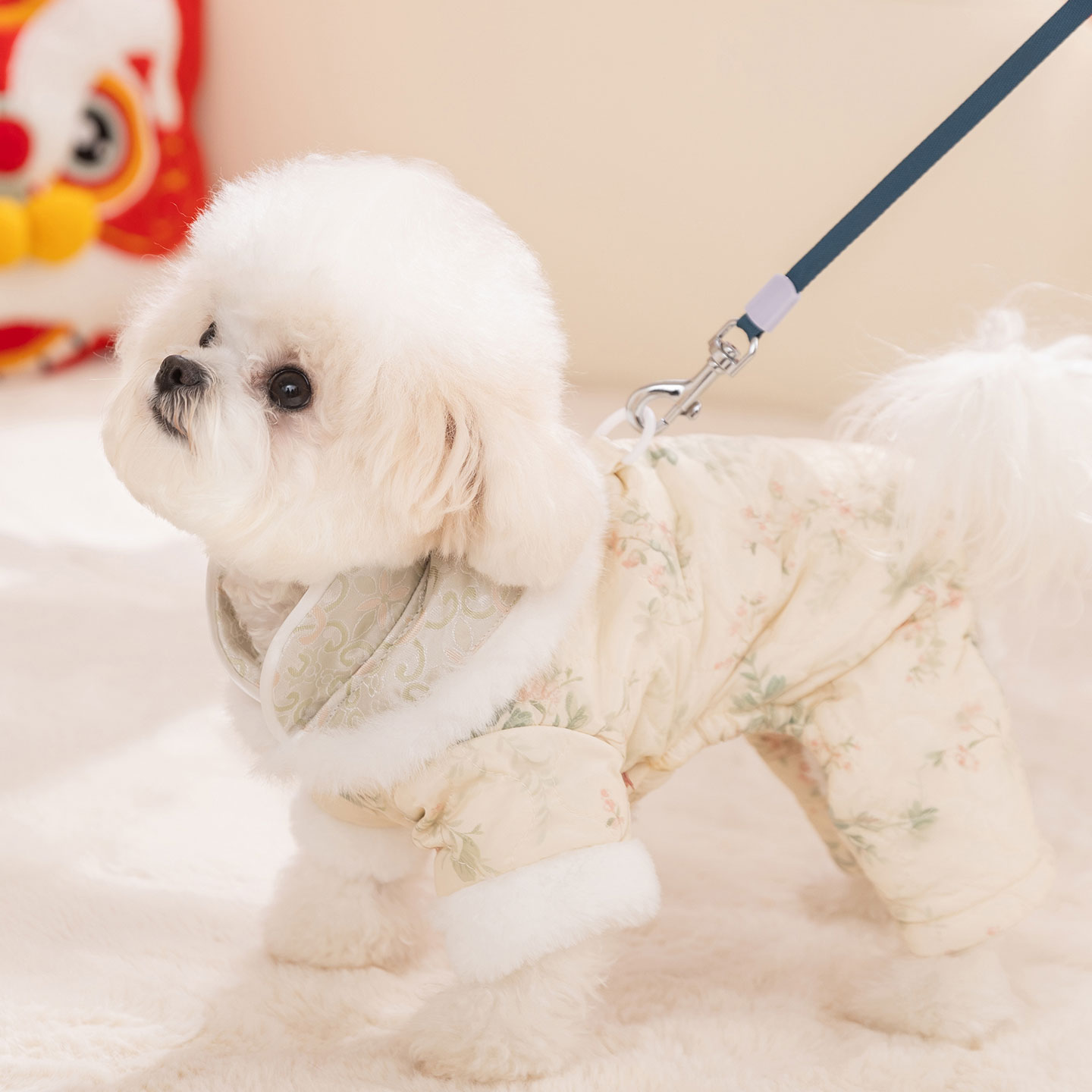 狗狗衣服2025新款冬装比熊泰迪雪纳瑞新年棉衣小型犬宠物小狗衣服