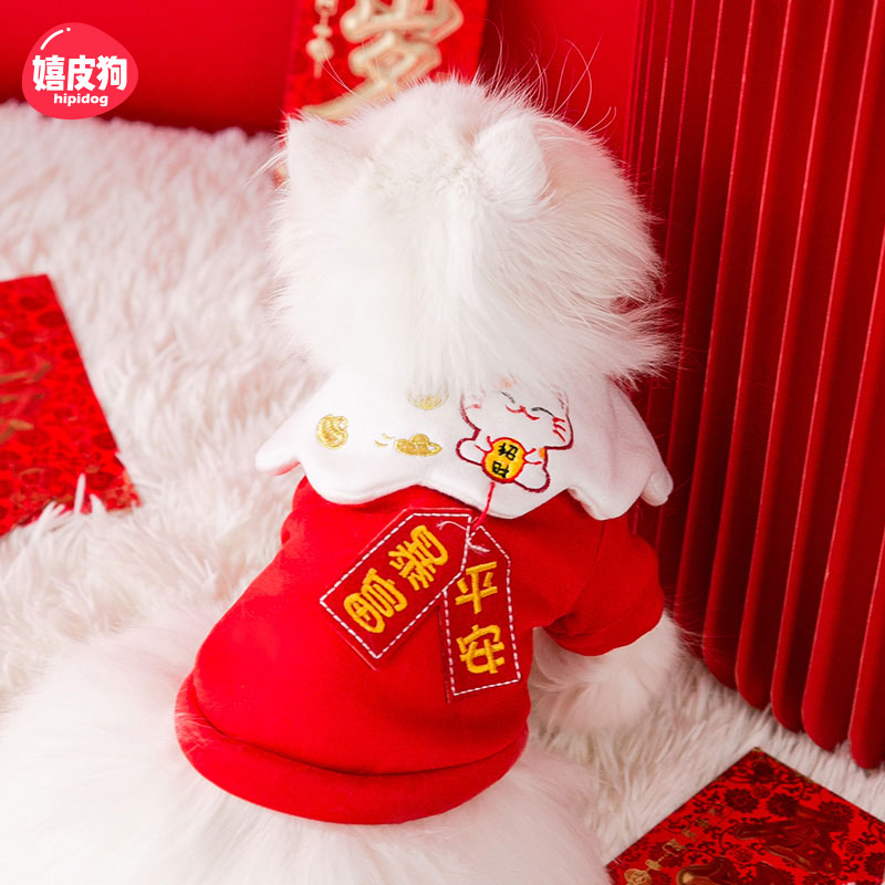平安暴富新年小猫咪拜年衣服冬季