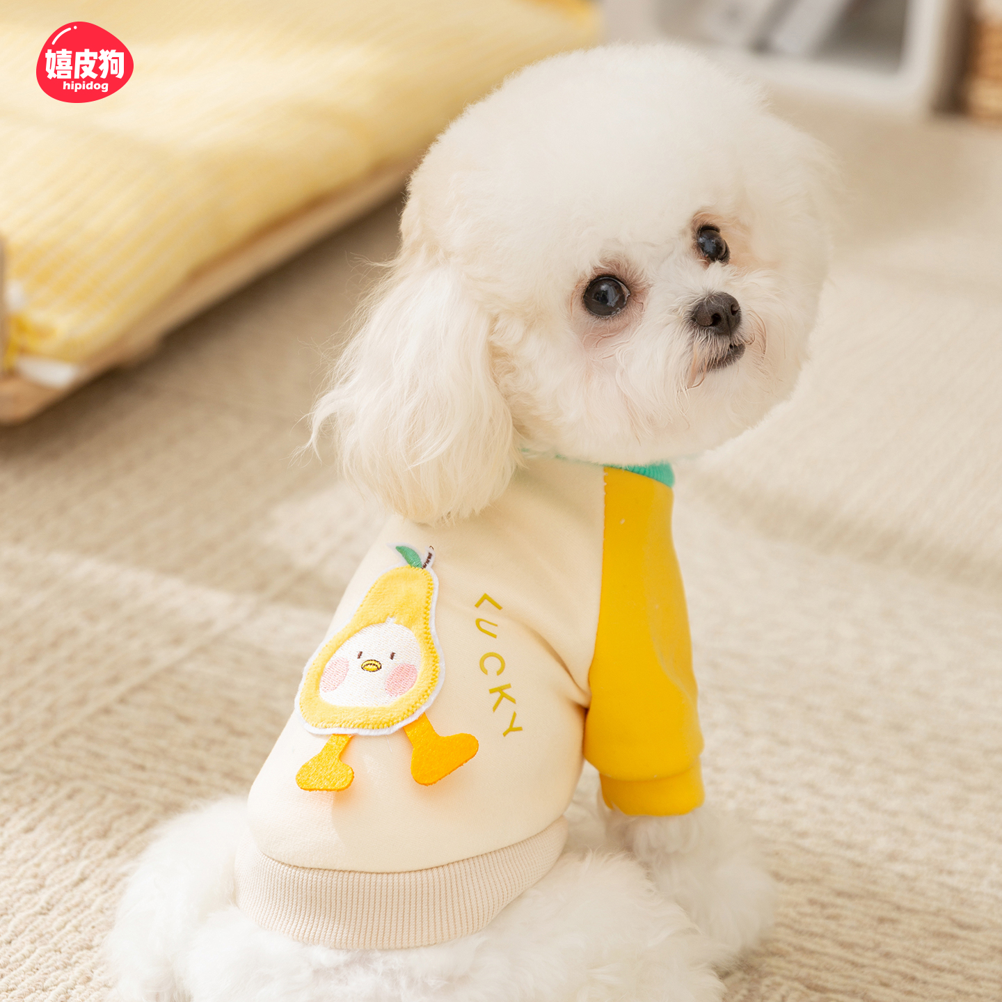 嬉皮狗小狗狗衣服比熊泰迪雪纳瑞幼犬春秋装中小型犬专用宠物卫衣