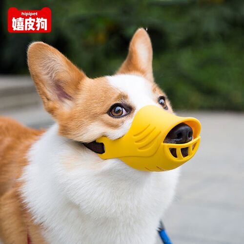 止吠器防咬柯基狗口罩狗