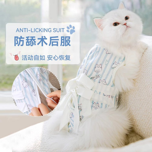 猫咪绝育服防舔舒适透气不闷伤口