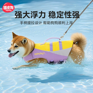 嬉皮狗小狗狗救生衣柴犬泰迪小型犬中大型犬夏天玩水宠物游泳衣服
