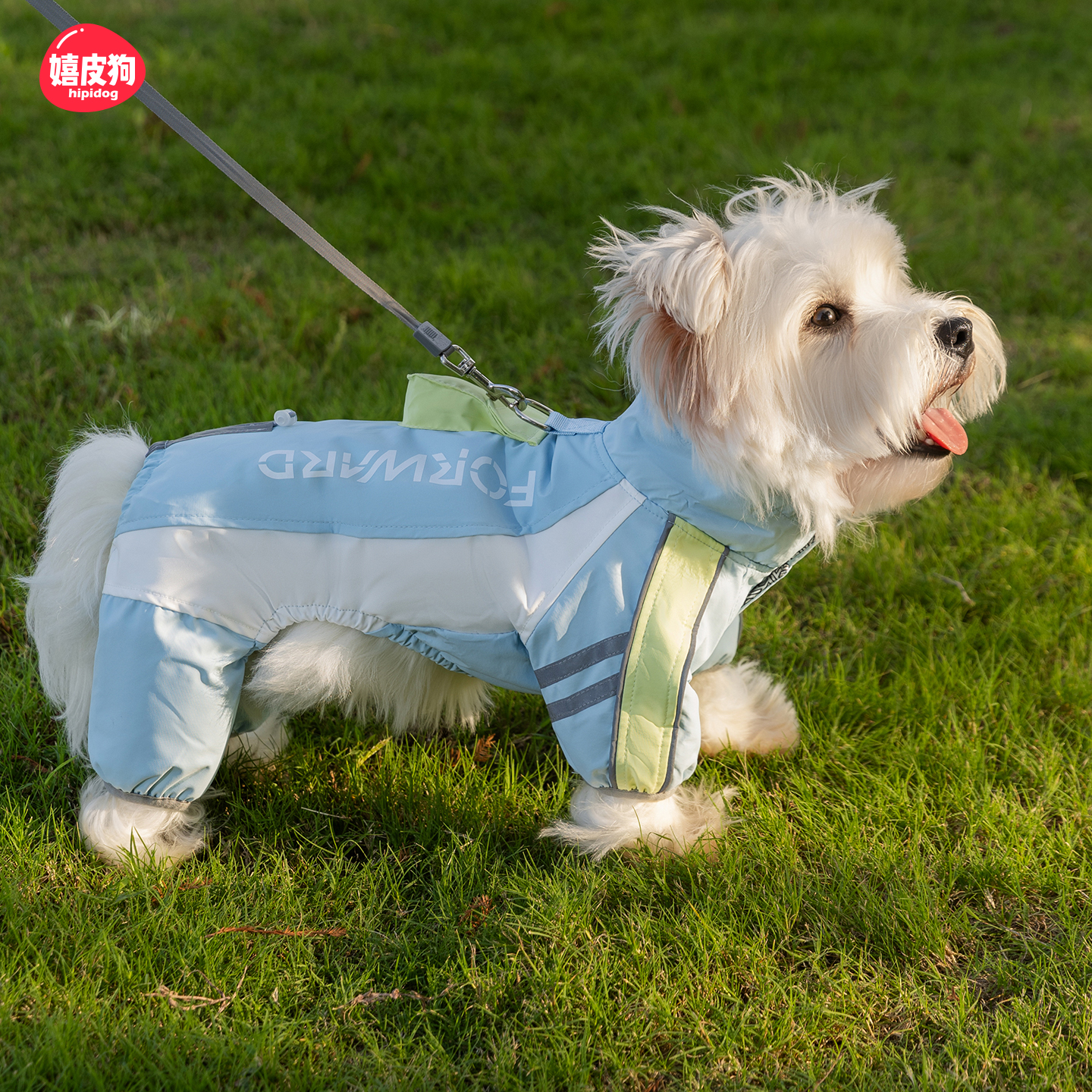 狗狗衣服2025新款冬装比熊泰迪雪纳瑞冲锋棉衣小型犬宠物小狗衣服