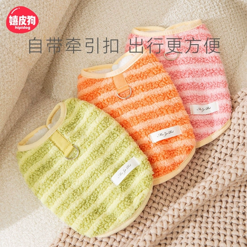 Направление одежды для щенка в зимнем плюше