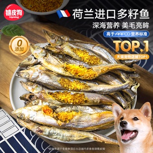 狗狗零食多春鱼冻干小型犬磨牙棒宠物补钙发腮训练奖励满籽小鱼干