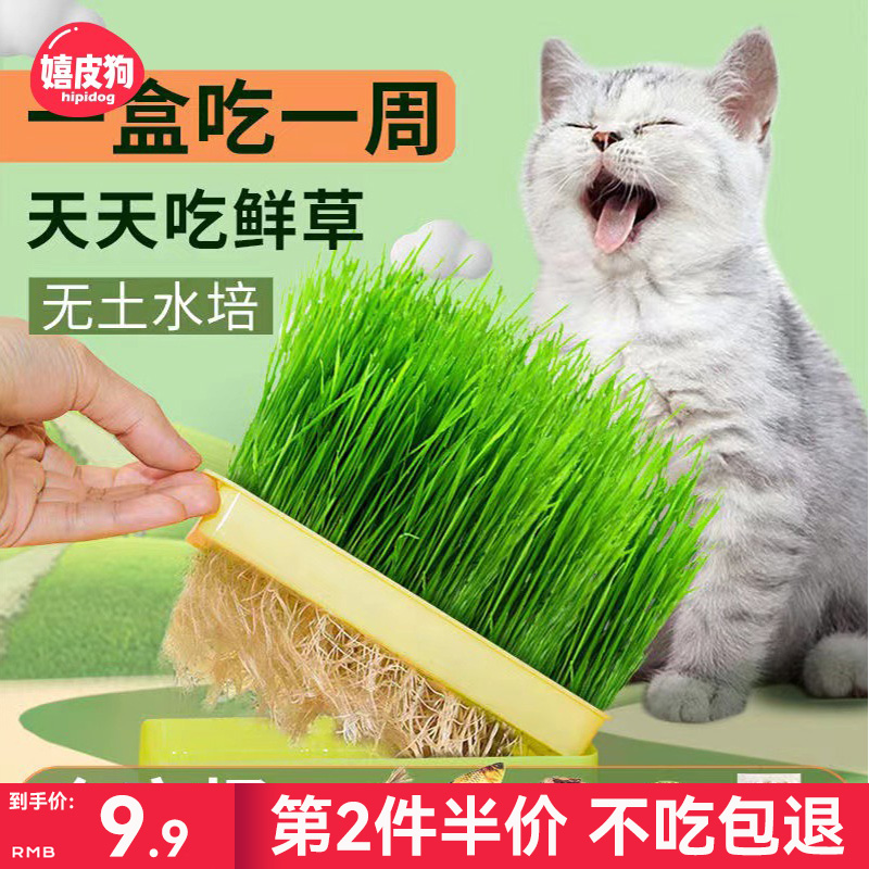 丰富维生素，叶宽多纤维