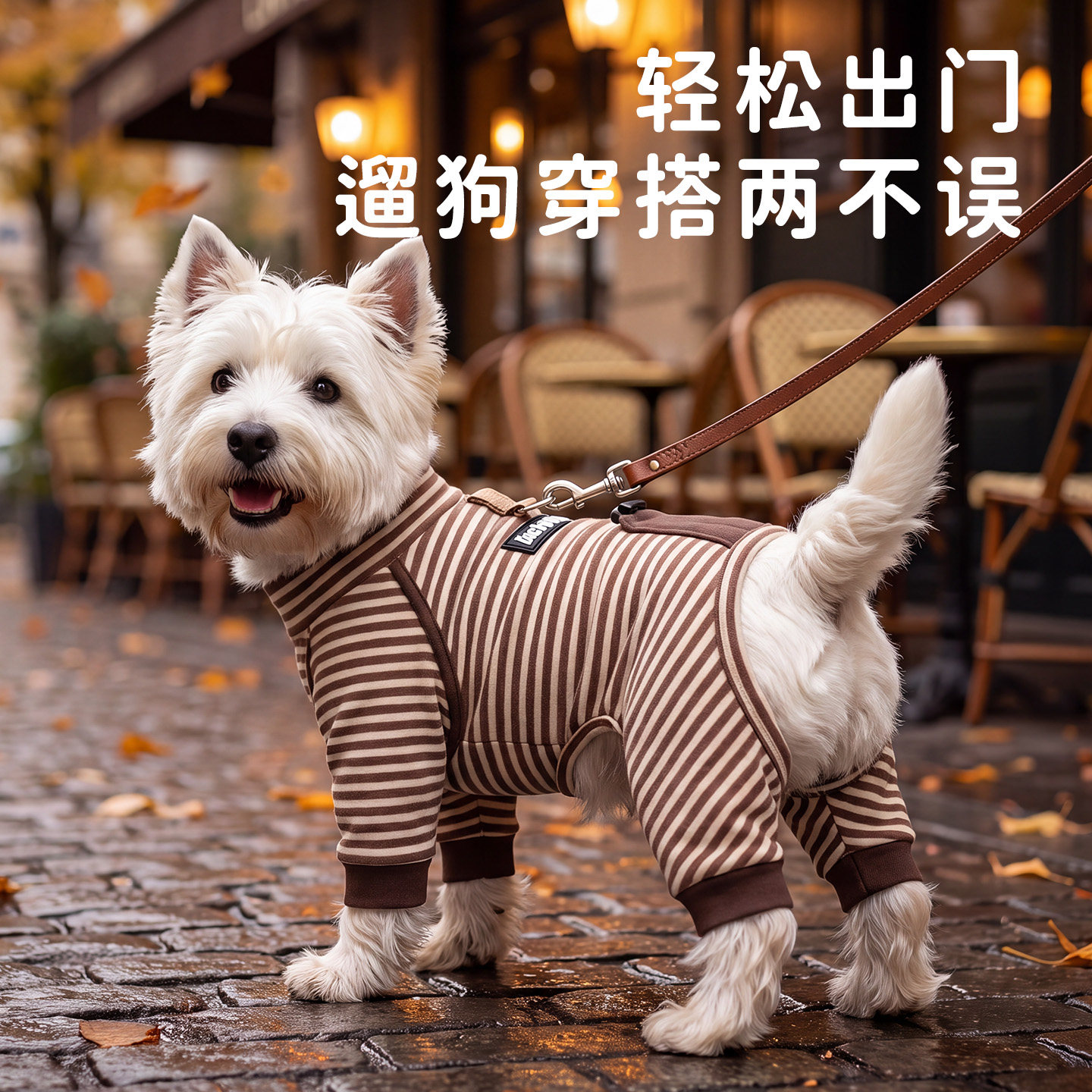 狗狗衣服2026新款秋装比熊泰迪雪纳瑞小型犬嬉皮狗宠物四脚打底衫