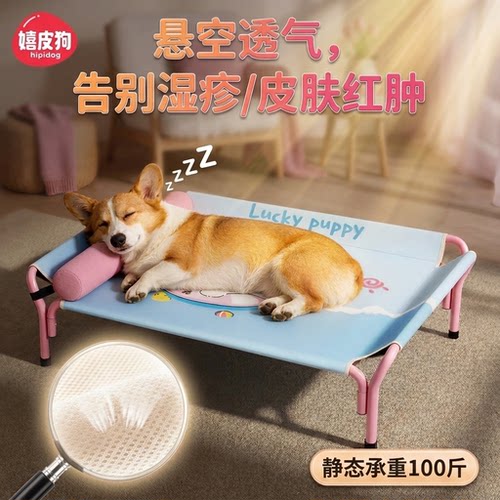 透气行军床耐咬2026新款四季通用离地狗窝小型犬狗床可拆洗狗专用