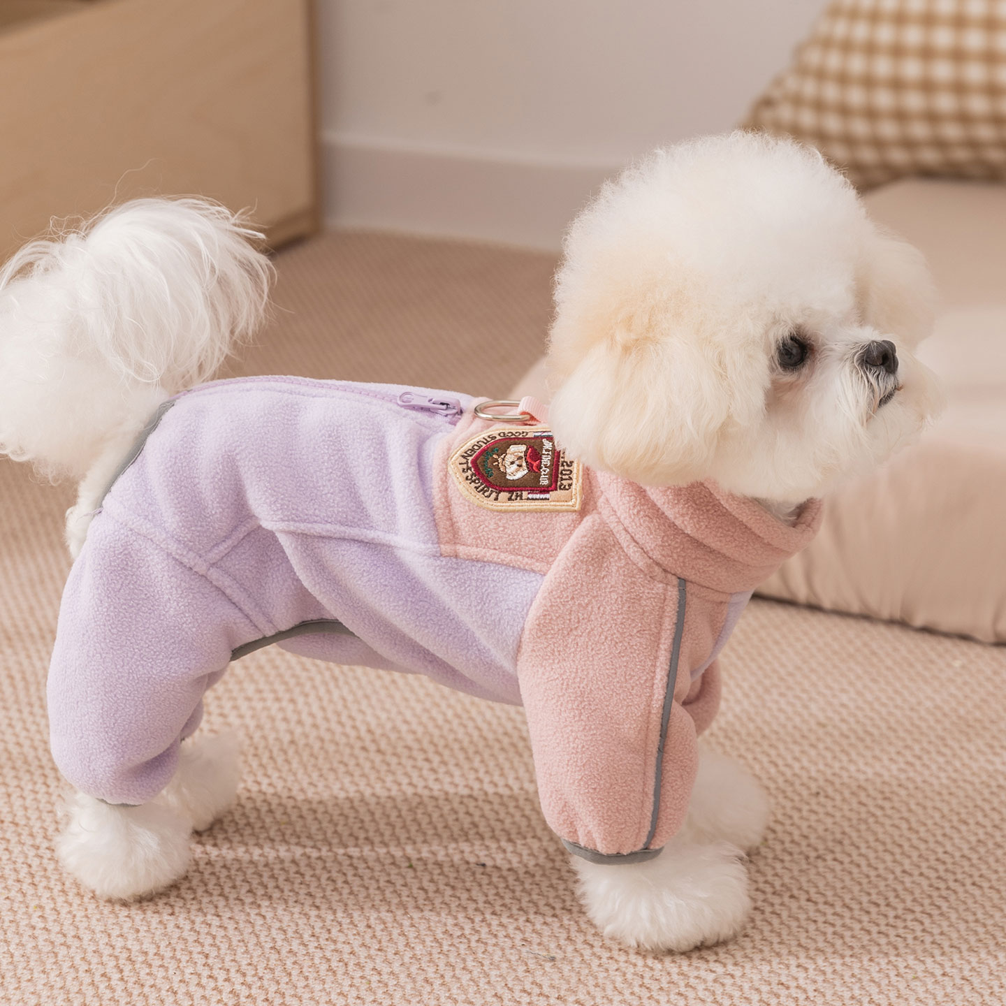 狗狗衣服2025新款冬装四脚棉衣小型犬泰迪宠物雪纳瑞比熊小狗衣服