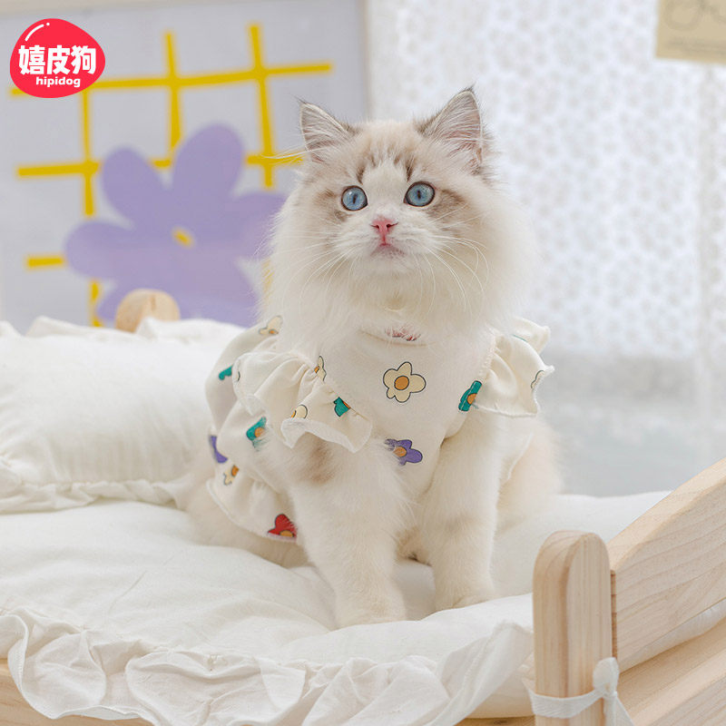 可爱印花裙子小猫咪衣服春秋款猫猫布偶猫蓝猫幼猫宠物防掉毛春季