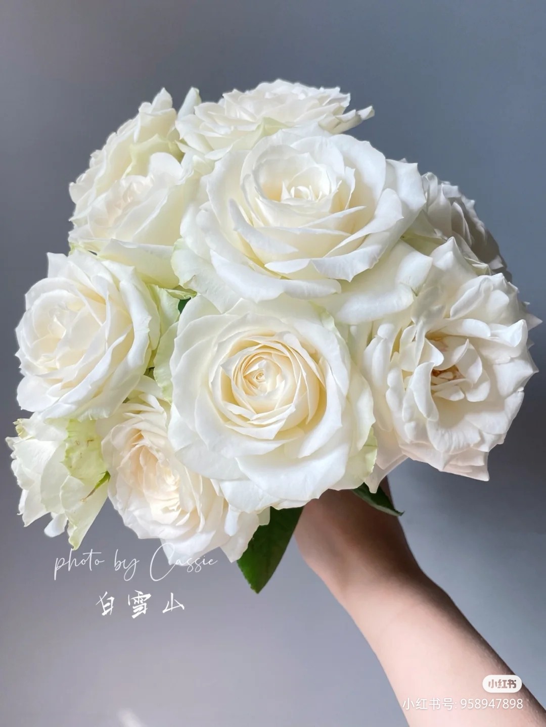 a级玫瑰白色雪山20支玫瑰家庭鲜花瓶插鲜切(运费打包费另外算)