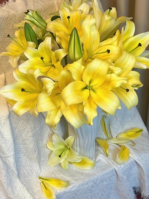 皇帝多头10支黄色百合鲜花基地批鲜花鲜花