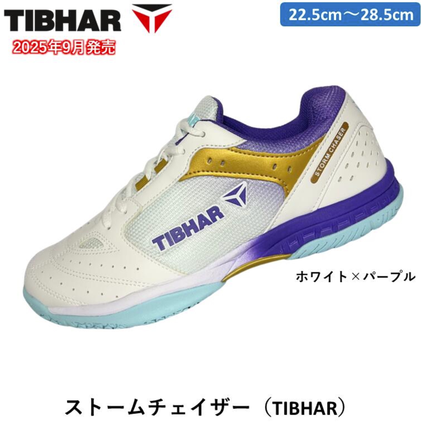 25年秋新款日本代购正品TIBHAR挺拔减震防滑耐磨男女乒乓球鞋