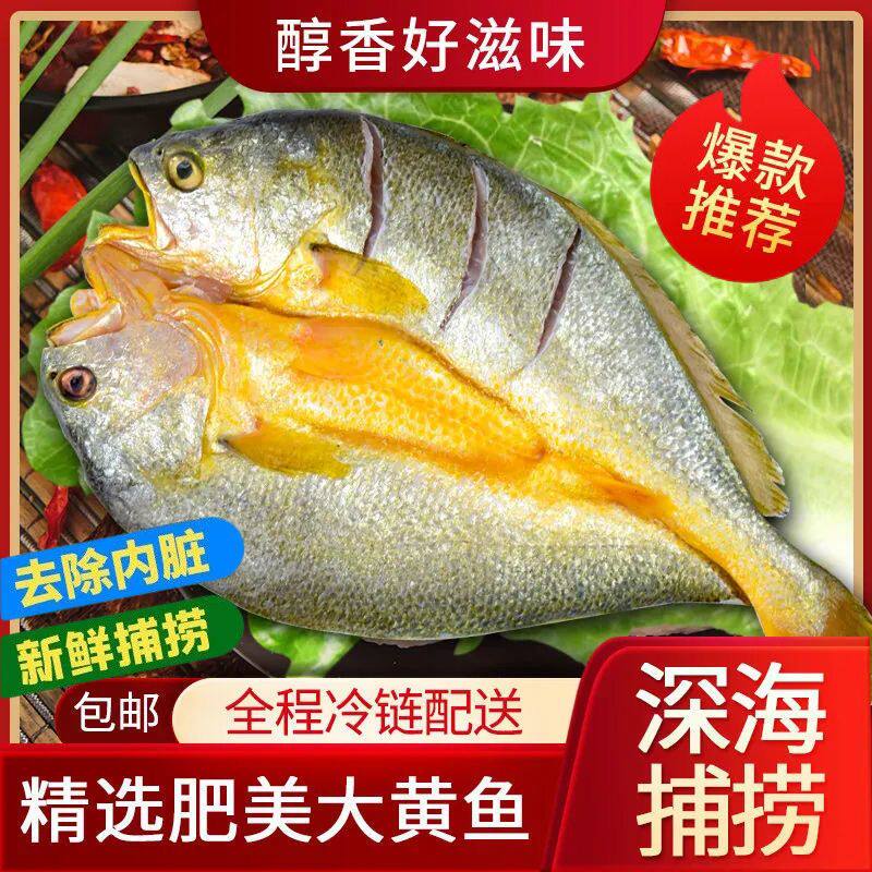 胖子海味新鲜黄鱼鲞免洗免杀咸鱼腌制海鲜干货醇香脱半干脂黄花鱼