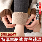 秋裤 东北绒裤 女外穿秋冬加绒加厚螺纹保暖棉裤 羊驼绒800克打底裤