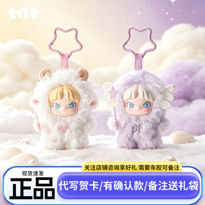 正版TNT大表姐DORA星座物语SPACE毛绒玩偶盲盒女孩的生日礼物公仔