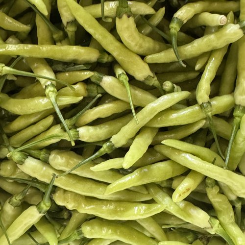 新鲜现摘云南保山小米辣椒