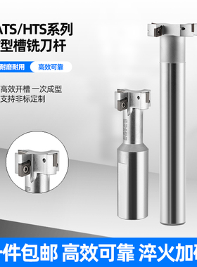 ATS槽型铣床刀杆T型槽端铣刀 T型数控刀杆ATS/XP-C25 32 40 50 21