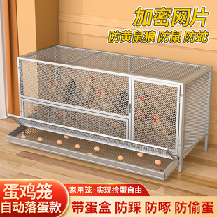 鸡笼子家用室外养殖特大号自动出蛋鸡笼防黄鼠狼农村自动清粪加厚