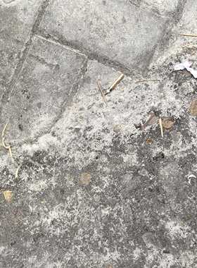 也很多还是今晚八点不到封号封号