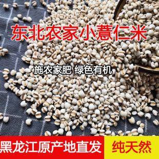 东北农家小粒薏米薏仁米薏米仁非贵州红豆薏米茶五谷杂粮新货现磨