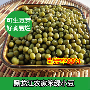 东北农家自种笨小绿豆明绿豆生豆芽专用煮粥绿豆汤五谷杂粮新鲜