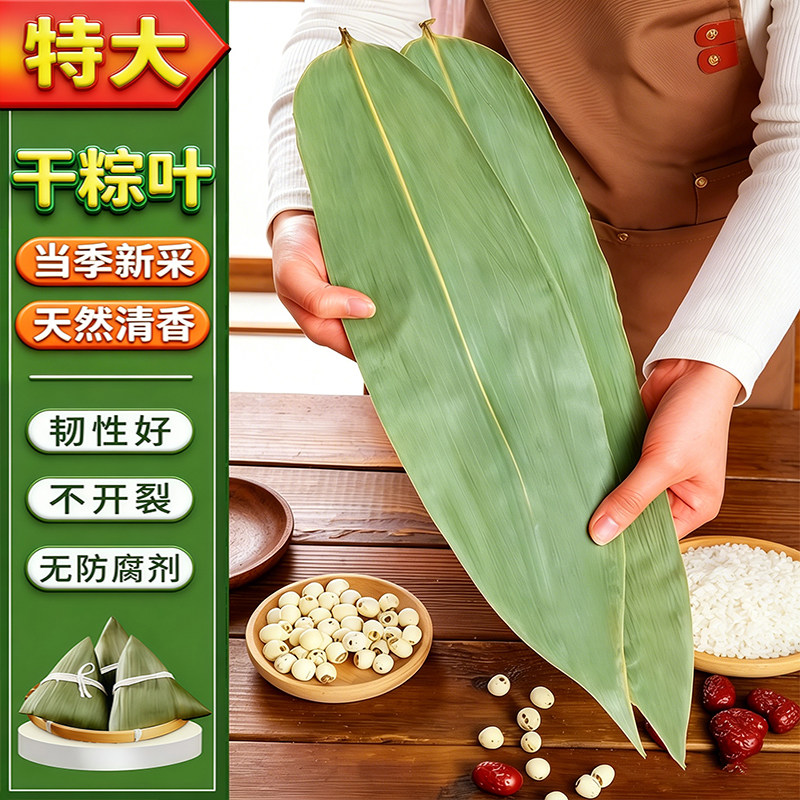粽子叶干棕叶新鲜现摘包粽子专用粽叶