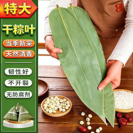 粽子叶干棕叶新鲜现摘包粽子专用新叶包粽子端午商用批发送绳免邮