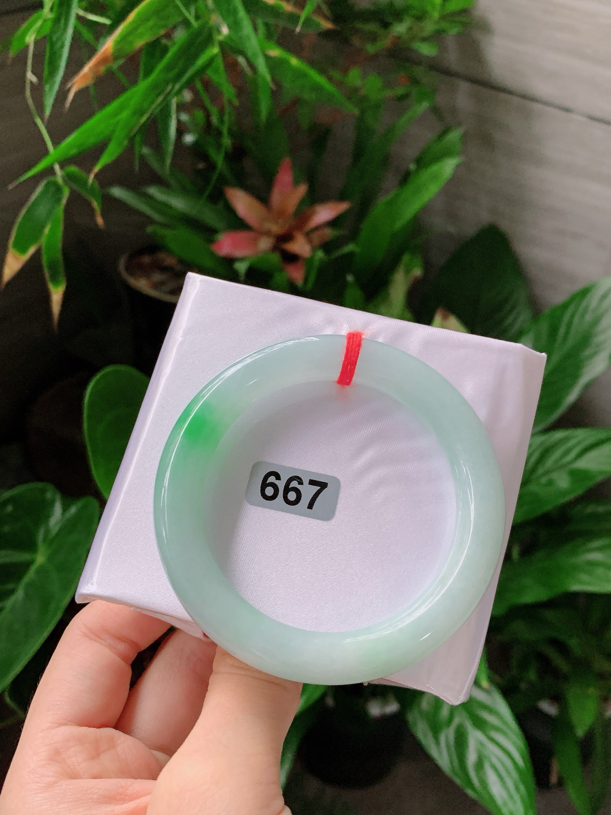 A货手镯54圈口冰糯种飘绿圆条手镯种老肉细女款带证书