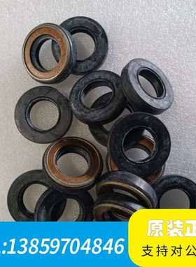NOK高压骨架油封AP1338F，20，，全议价