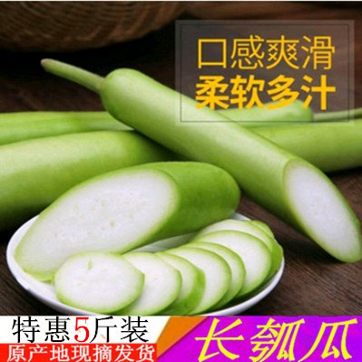 新鲜蔬菜长瓠瓜嫩蒲瓜葫芦瓜肉质细嫩味甜现摘现卖5斤装在类目 水产肉类/新鲜蔬果/熟食, 新鲜蔬菜/蔬菜制品, 新鲜蔬菜, 其它中 - 来自Buy2taobao.com提供专业的淘宝代购服务