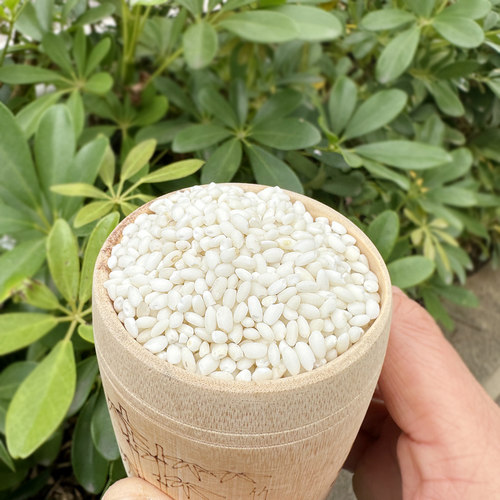 农家自产500g特产特价酿酒糯米