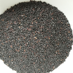 粤北韶关始兴特产 无染色米黑香米大米杂粮粗粮农家产品500g